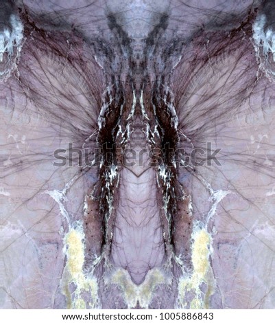 the flight of the vampire, Tribute to Dalí, abstract symmetrical vertical photograph of the deserts of Africa from the air, aerial view, abstract expressionism, mirror effect, symmetry, kaleidoscopic