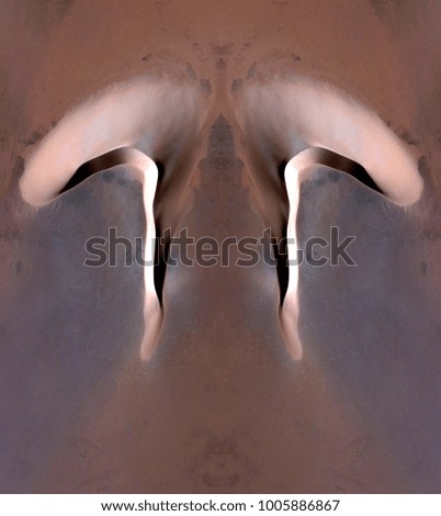 the mobile dune, Tribute to Dalí, abstract symmetrical vertical photograph of the deserts of Africa from the air, aerial view, abstract expressionism, mirror effect, symmetry, kaleidoscopic