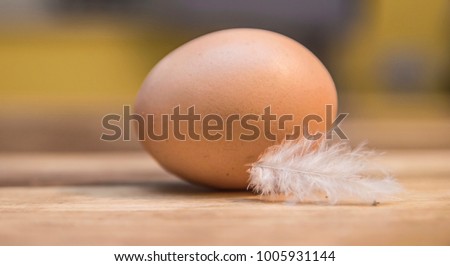 Egg in focus,close up picture.
