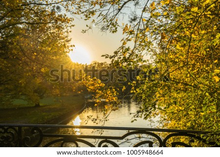 Picture taken on a perfect golden evening in autumn, Munich