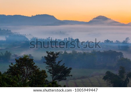 Mountain and fog at morning sunrise time.