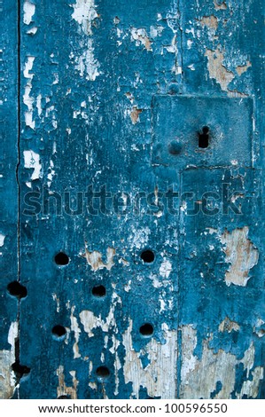 highly Detailed grunge background frame-with space for your design