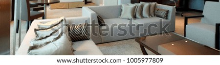 Room Interior Sofa Pillow chairs designs