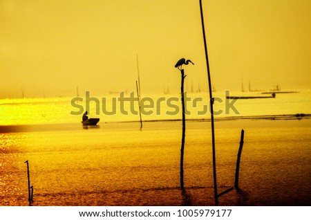 Birds on the bamboo above the surface. Beautiful sky and shadow. Picturesque landscape scene and sunset.