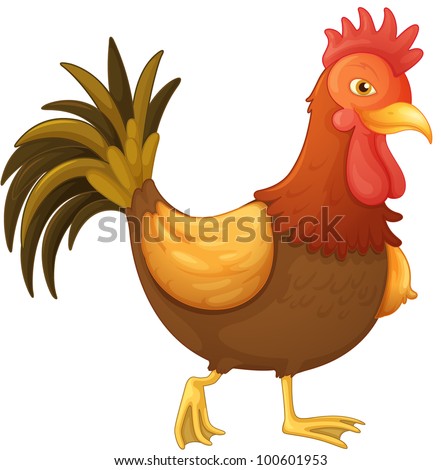 Illustration of an isolated cock - EPS VECTOR format also available in my portfolio.