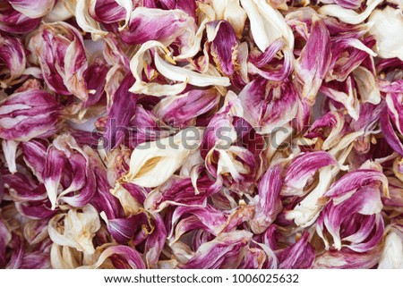 Natural background of dry petals of red tulips. Herbarium of petals. Many dried petals.