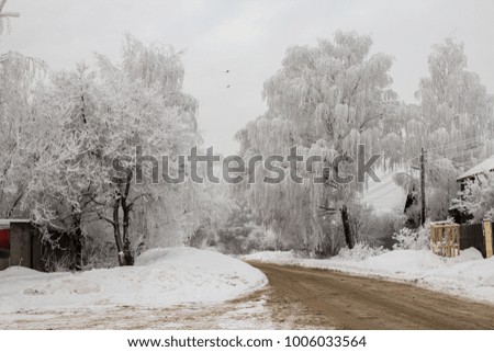 beautiful white snow-white frosty trees
