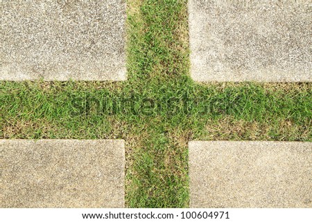Concrete floor with green grass in cross shaped