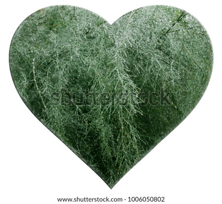 heart symbol carved from photos and isolated on white background. garden asparagus in raindrops