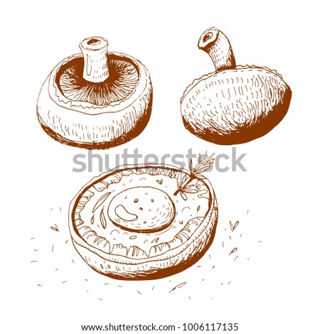 Portobello mushrooms with egg,vector illustration. Royalty-Free Stock Photo #1006117135