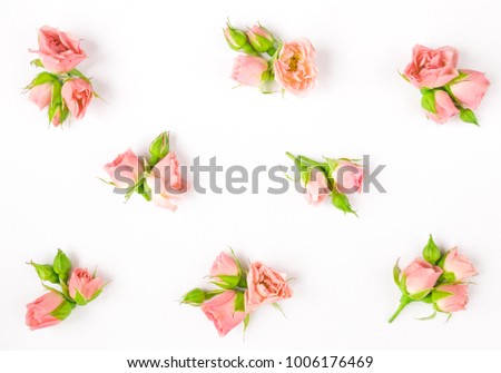 Pink rose flowers arrangement.