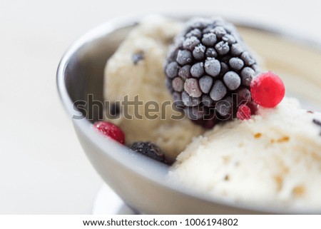 Ice cream with forest fruit on top, biological food