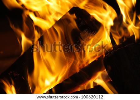 Close up of fire flames around  firewoods