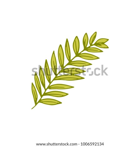 leaf Hand-drawn vector illustration