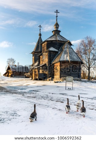 Traditional Russian wooden church of the Resurrection from village of Patakino. The monument of Russian wooden architecture of the late XVIII century. Domestic geese. Suzdal. Russia.