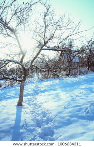 beautiful winter landscape with a rich snowflake
