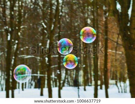 Four multicolored soap bubbles on the background of a winter forest