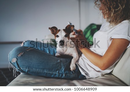 Cropped photo of a young blonde girl resting while sitting with her dog on the couch and using the modern cell phone. Hipster girl is shopping online with the application on her smartphone. Royalty-Free Stock Photo #1006648909