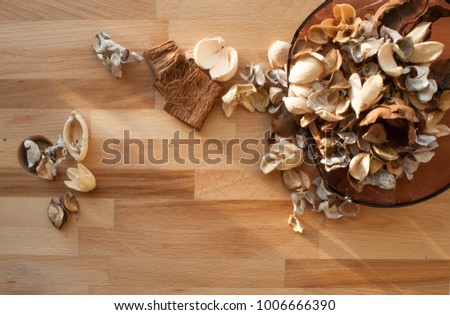 Natural dry plant flower shell spa decor on wood background