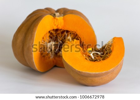 ripe orange pumpkin with sprout inside