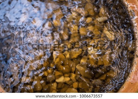 Rocks in Water Pot 