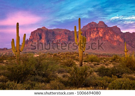 Saguaros at Sunset in Sonoran Desert near Phoenix. Royalty-Free Stock Photo #1006694080