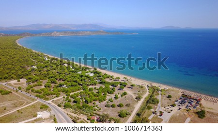 Aerial drone photo from famous natural Park and wetland of Shoinias with rare Pine trees and turquoise clear waters, Marathon, Attica, Greece