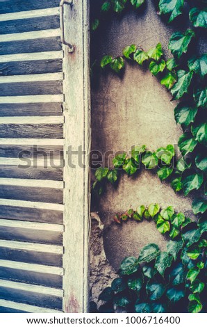 Retro Filter Photo Of Rustic White Shutters And Ivy On A Cottage In France