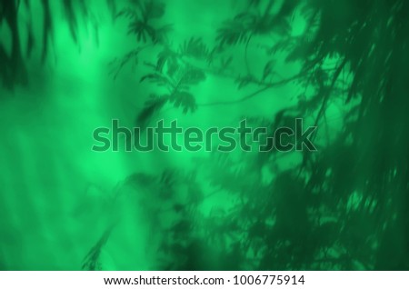 Photos of black trees and green background caused by photography through green cloth blur