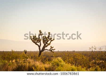 Desert in California, USA Royalty-Free Stock Photo #1006783861