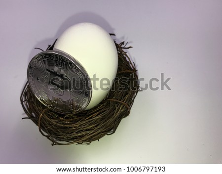 Bitcoin next to white egg in straw nest on a gray wooden background