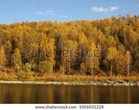 autumn forest in the Altai Republic