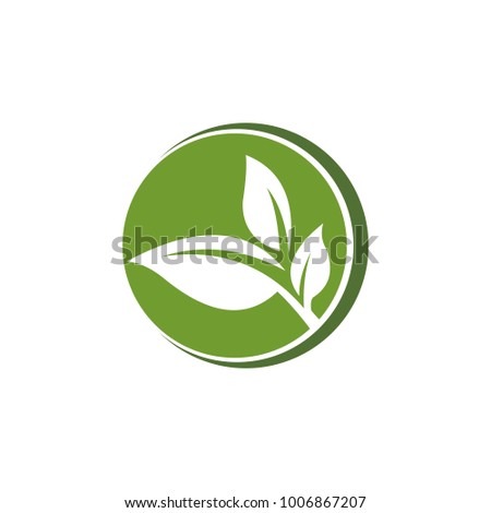 Leaf vector logo template abstract modern 
