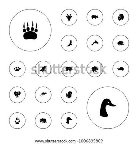 Editable vector wild icons: goose, bear, eagle, panther, elephant, animal paw, fish, paw, dolphin, lion, hedgehog, squirrel, kangaroo, hippopotamus on white background.