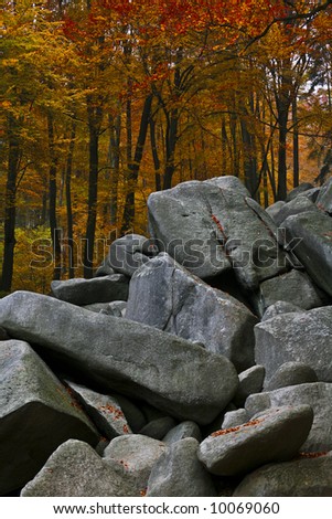 forest and stone background