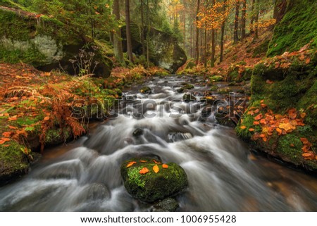 Creek Krinice in National Park Czech Switzerland, Czech Republik Royalty-Free Stock Photo #1006955428