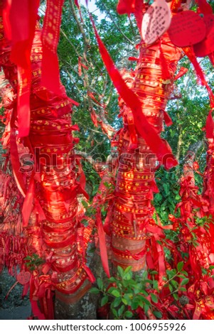 tall trees is completely decorated with red ribbons. many red ribbons tied to trees. Asia, Sanya