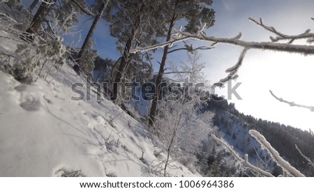 
Track snowboarder on freeride. Impenetrable Winter Forest. A very beautiful landscape on the slope of the mountain. Morning winter morning. The untrodden trail of the ski resort. The winter coniferou