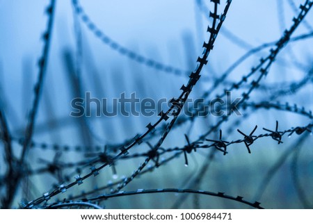 Protective fencing specially protected object of barbed wire. Stamped barbed wire