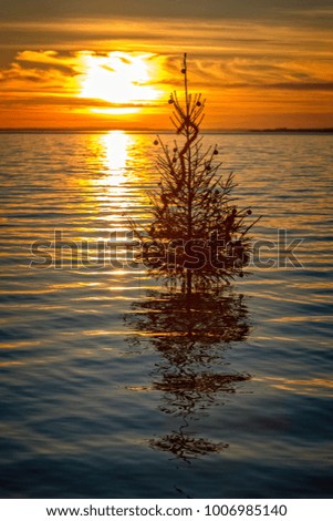 Hungarian Christmas tradition to set Christmas tree in the lake Balaton, village Szigliget