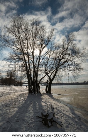 Winter landscape with a tree obscuring the sun on the river bank. Photos with high contrast