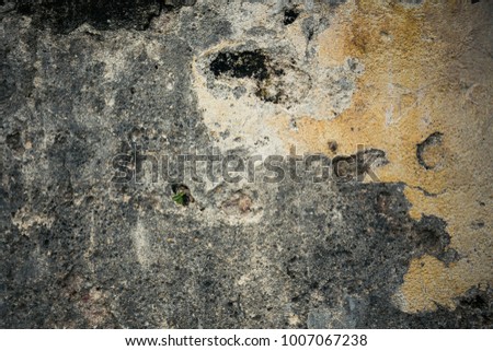 stone or rock background and texture, natural stone. (color toned image)