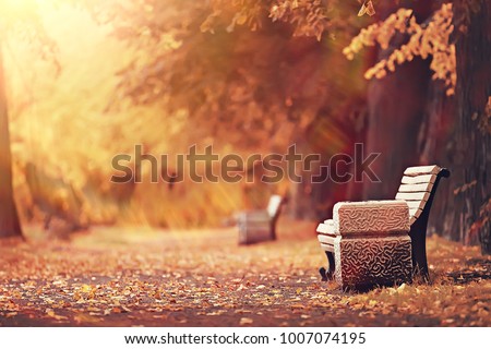 bench in autumn landscape / city park with orange trees on the branches, a street bench in autumn forest landscape,  alley. Concept of weekend in the city park