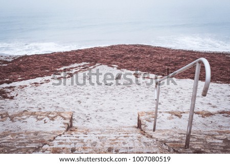 Ocean red seaweeds sand and stairs