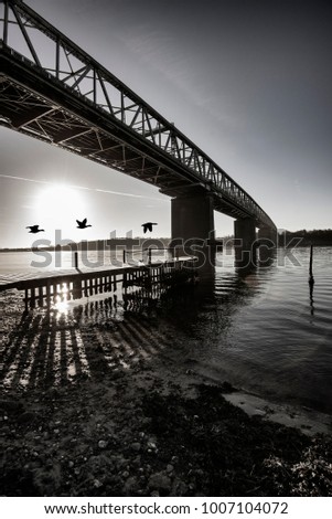 Old bridge and flying geese over Little Belt in Denmark. Monochrome piture.