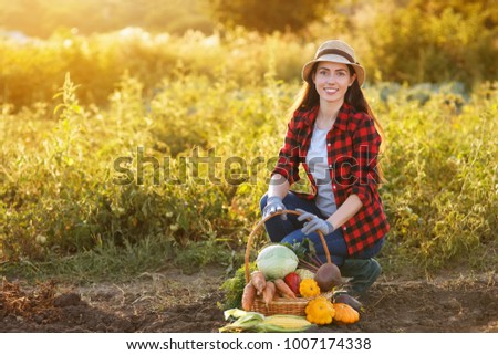 Gardener with freshly harvested vegetables in garden with sunshine. Happy woman farmer and basket with crop