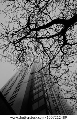 A black and white photo, looking up at a high-rise apartment building and through the dead branches of a tree. The building is fading into a foggy scene. 