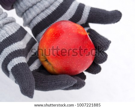 Female hands in gloves hold an apple in the winter on snow.