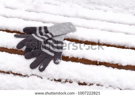 On the white snow on the bench lie two striped knitted gloves.