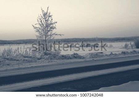 The snow road. The snowy winter. Winter photography. Winter forest. Trees in the snow.